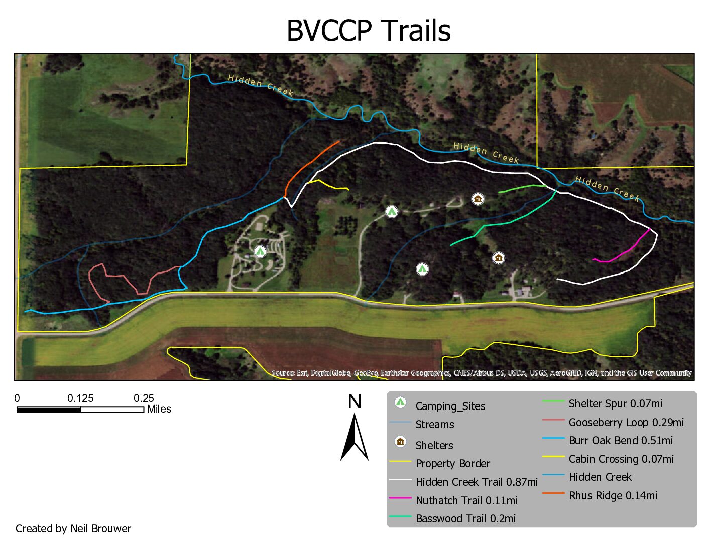 buena vista trail run